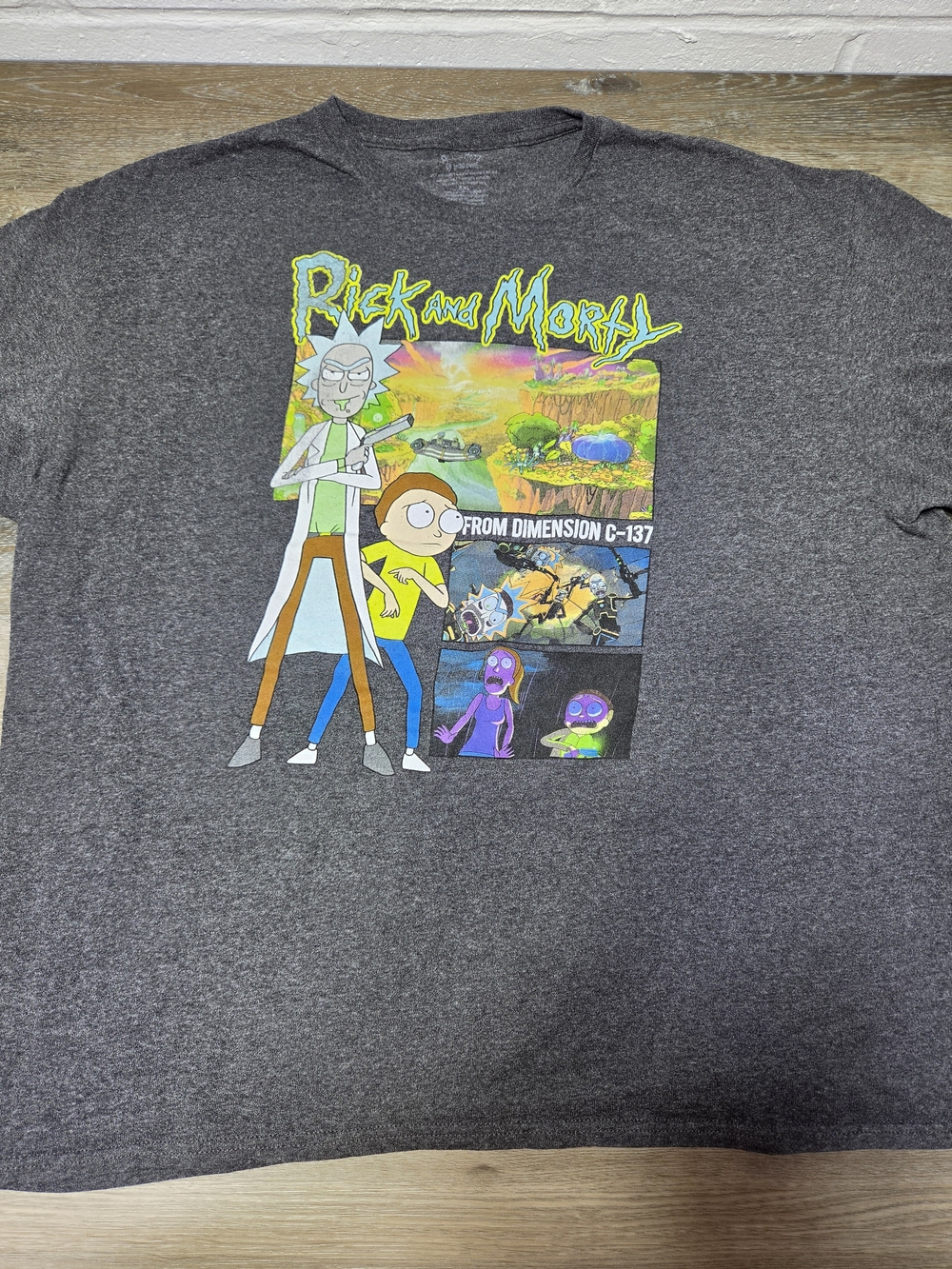 Rick and Morty Graphic T-Shirt Adult Gray Short Sleeve Dimension C-137
